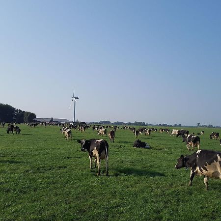 Charming House In Easterlittens On A Frisian Farm Wommels Exterior foto